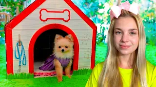 Maggie build Puppy Dog House for Shanty