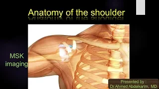 1-Anatomy of the shoulder