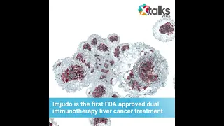 AstraZeneca’s Immunotherapy Imjudo (tremelimumab) Wins FDA Approval for Liver Cancer