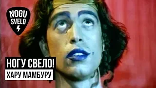 Ногу Свело! - Хару Мамбуру