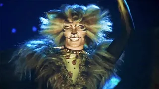 Cats the Musical | CumTown