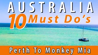 Fun Family Things To Do in Western Australia (Perth to Monkey Mia)