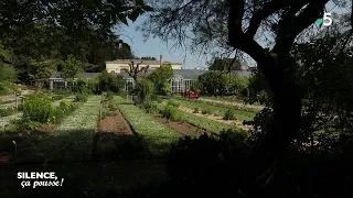 Visite: le Jardin des Plantes de Caen - Silence, ça pousse !