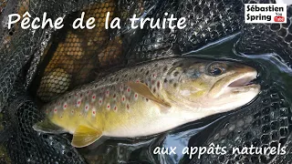 Pêche de la truite aux appâts naturels !