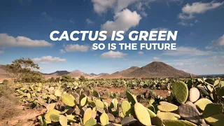 Cactus Vegan Leather process - Desserto®