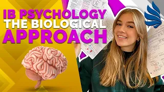 IB Psychology Revision: The Biological Approach (Part 1)