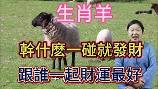 【生肖羊】屬羊人做什麼一碰就發財！生肖屬羊人跟誰在一起財運最好呢？生肖屬羊和誰最合拍！本期視頻講述生肖羊！#生肖 #運勢 #命理 #佛教 #財運