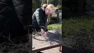 Making a Twig Wreath Out of Ice Storm Destruction