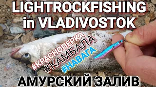 Городская рыбалка Владивосток ЛОВИМ ВСЕ!
