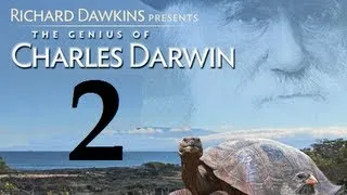 Richard Dawkins - The Genius of Charles Darwin - Part 2: The Fifth Ape [+Subs]