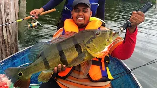 Peacock bass fishing trip. The biggest i have seen till now in Suriname