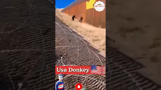 Usa Donkey 🇺🇸 ਵਿੱਚ ਮੁੰਡੇ ਨੂੰ Mafiya ਨੇ ਗੋਲੀ ਮਾਰ ਦਿੱਤੀ 🤬 Usa Donkey Border Crossing #shorts