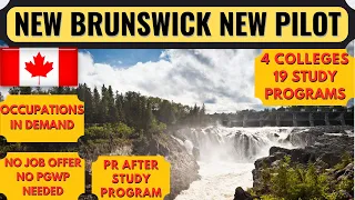 New Brunswick Pilot Program | New Brunswick PNP | Canada PNP Without Job Offer 2022 | Dream Canada