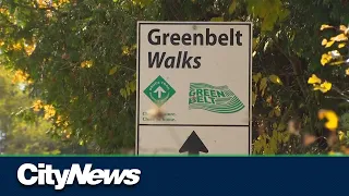 Doug Ford on Greenbelt: “We have nothing to hide.”