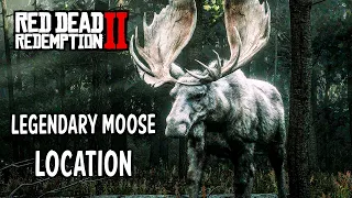 Red Dead Redemption 2 | Legendary Moose (Spoiler Alert) | WALKTHROUGH LOCATION