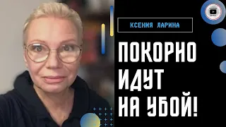 Россию не спасти ни изнутри, ни извне! - Ларина. Пригожин рвется к власти. Тиньков и принцип домино.