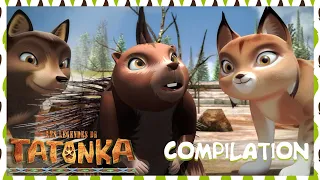 Tatonka Nouvelle Compilation 🐺 Pahin le téméraire 🤩 Dessin animé en français