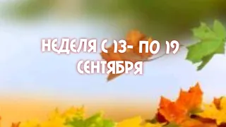 НЕДЕЛЯ C 13 ПO 19 СЕНТЯБРЯ.Таро Гадание 🤗🥰