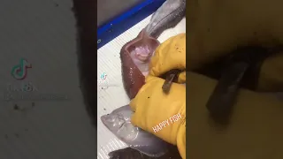 happy fish tickling🤣