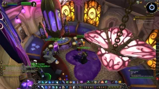 Facet Nating Friends Quest ID 40523 Playthrough WoW