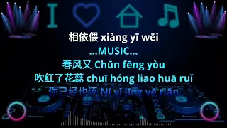 Wang Shi Zhi Neng Hui Wei Remix Karaoke