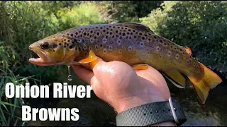 NYMPHING UP STUNNING WILD TROUT (Onion River Northeast Wisconsin)