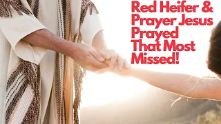 Red Heifer, Rapture and What Jesus Prayed That Most People Missed