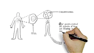 Understanding Copy Number Variation