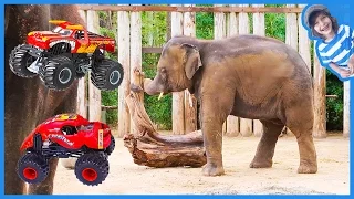 Monster Trucks Visit Zoo Animals!