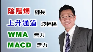 【港股分析】恒指 | 投資分析 | 陰陽燭 | 上升通道 | WMA | MACD | 投資教學  － 羅振邦博士投資課程@智才投資學會