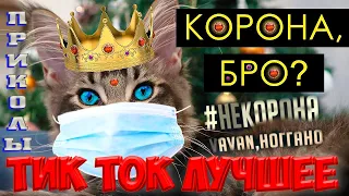 НЕ корона Бро! - Приколы из тик тока - Тик Ток Лучшее