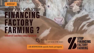 EN Webinar | How Can You Stop Financing Factory Farming? Industrial Livestock Campaigning 101