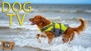 DOG TV: Entertainment Video Anti Anxiety & Boredom Busting for Dogs When Home Alone - Music for Dogs