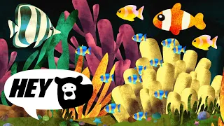 Hey Bear Sensory - Tropical Aquarium - Relaxing Video with Music