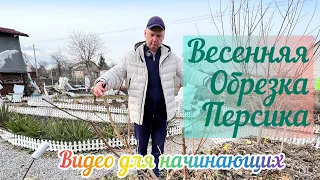 Как правильно обрезать и сформировать персик 1-й,2-й,3-й год после посадки.