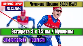 ЛЫЖНЫЕ ГОНКИ: ЭСТАФЕТА 3х7.5 км. Мужчины || ЧЕМПИОНАТ ШВЕЦИИ 25.03.2024