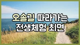 (최면마스터를 위한) 오솔길 따라가는 전생체험 최면