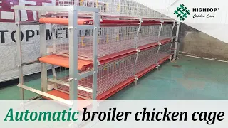 HIGHTOP AUTOMATED BROILER CAGE