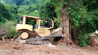Clearing and tearing down large logs for mountain palm clearing CATERPILLAR BULLDOZER D6R XL