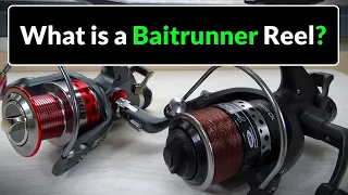 Baitrunner / Freespool Fishing Reels - Explained (Carp Fishing for Beginners)