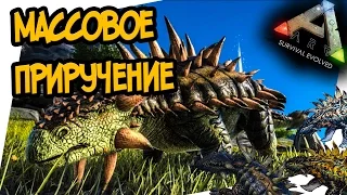 ARK: Survival Evolved - МАССОВОЕ ПРИРУЧЕНИЕ АНКИЛО