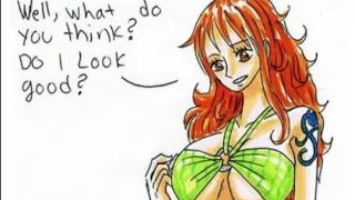 The Bikini || Luffy x Nami