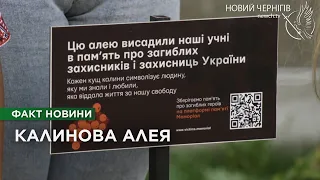 "Калина - символ країни, у ній буде жити частинка тата": на подвір’ї 28 школи висадили пам’ятні кущі