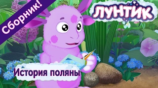 Лунтик - 🔥😂 История поляны😂🔥. Сборник мультиков