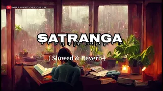 Satranga // Lyrics- Animal // lofi song