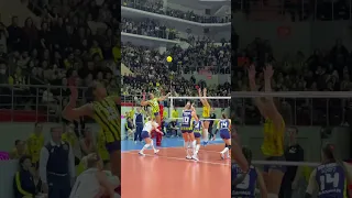 FENERBAHÇE Imoco Volley’e set vermedi. #CLVolleyW