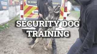 SECURITY DOG TRAINING!!