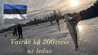 Pērnavas upe Zandartu cope