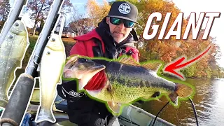 Late fall SWIMBAIT fishing for GIANT BASS!!