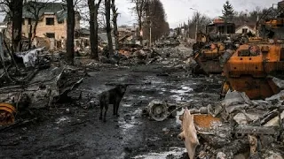 Спеціальності в армії України. Штабна (S) структура. Як реалізувати цивільний досвід в армії.